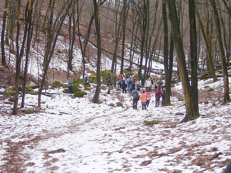 20100220 064.jpg